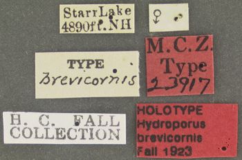 Media type: image;   Entomology 23917 Aspect: labels